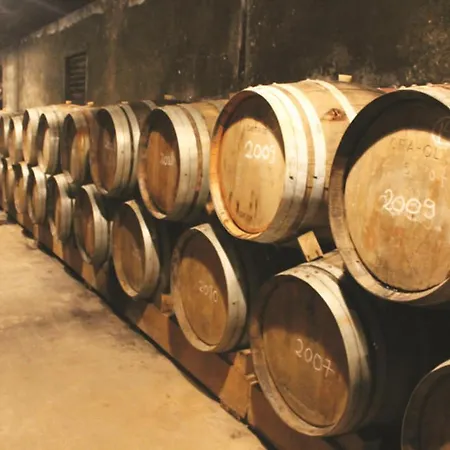 Vila Alfaiate